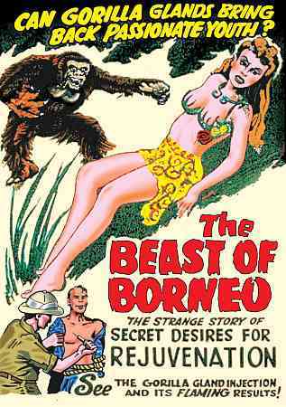 Beast of Borneo cover art