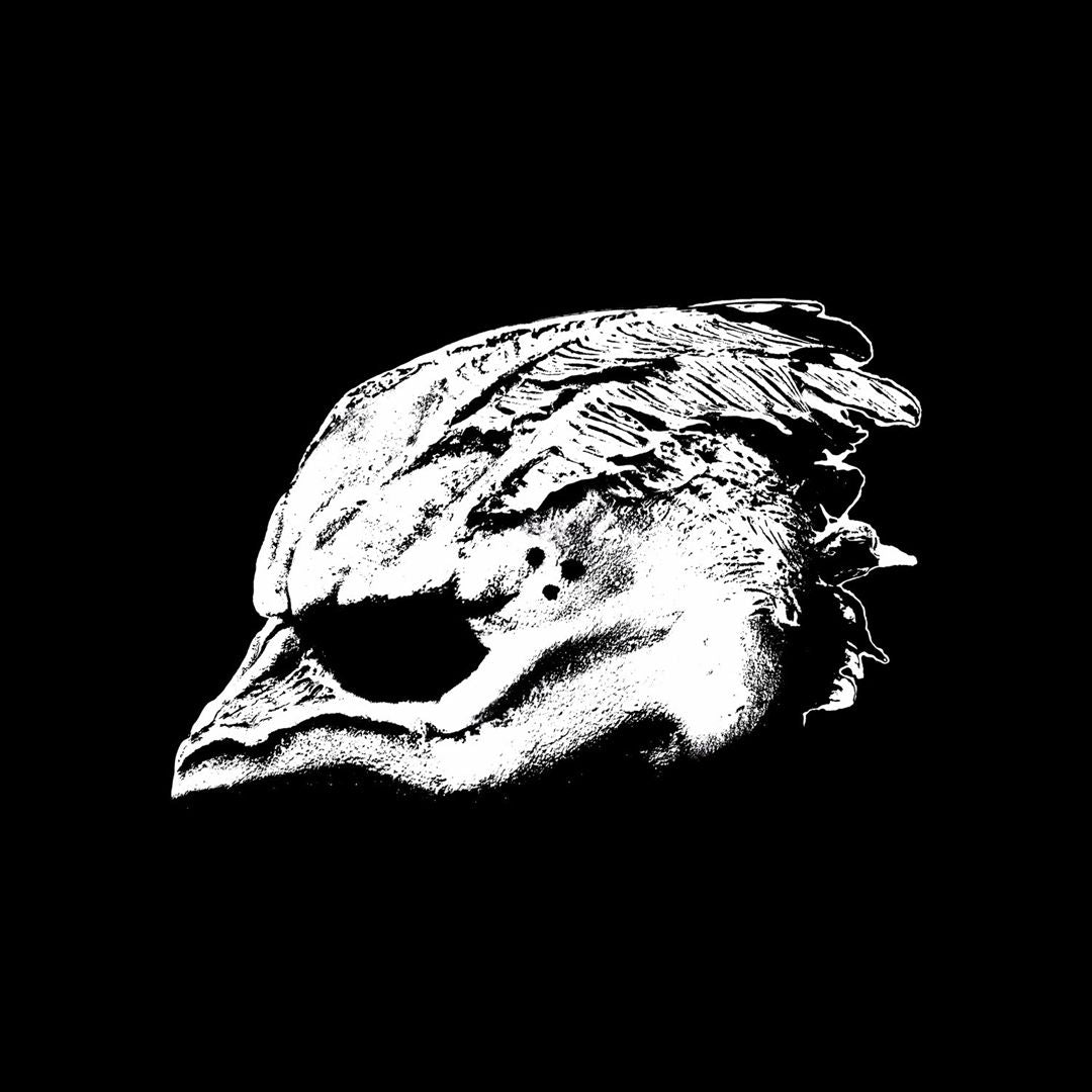 Legend of the Seagullmen cover art