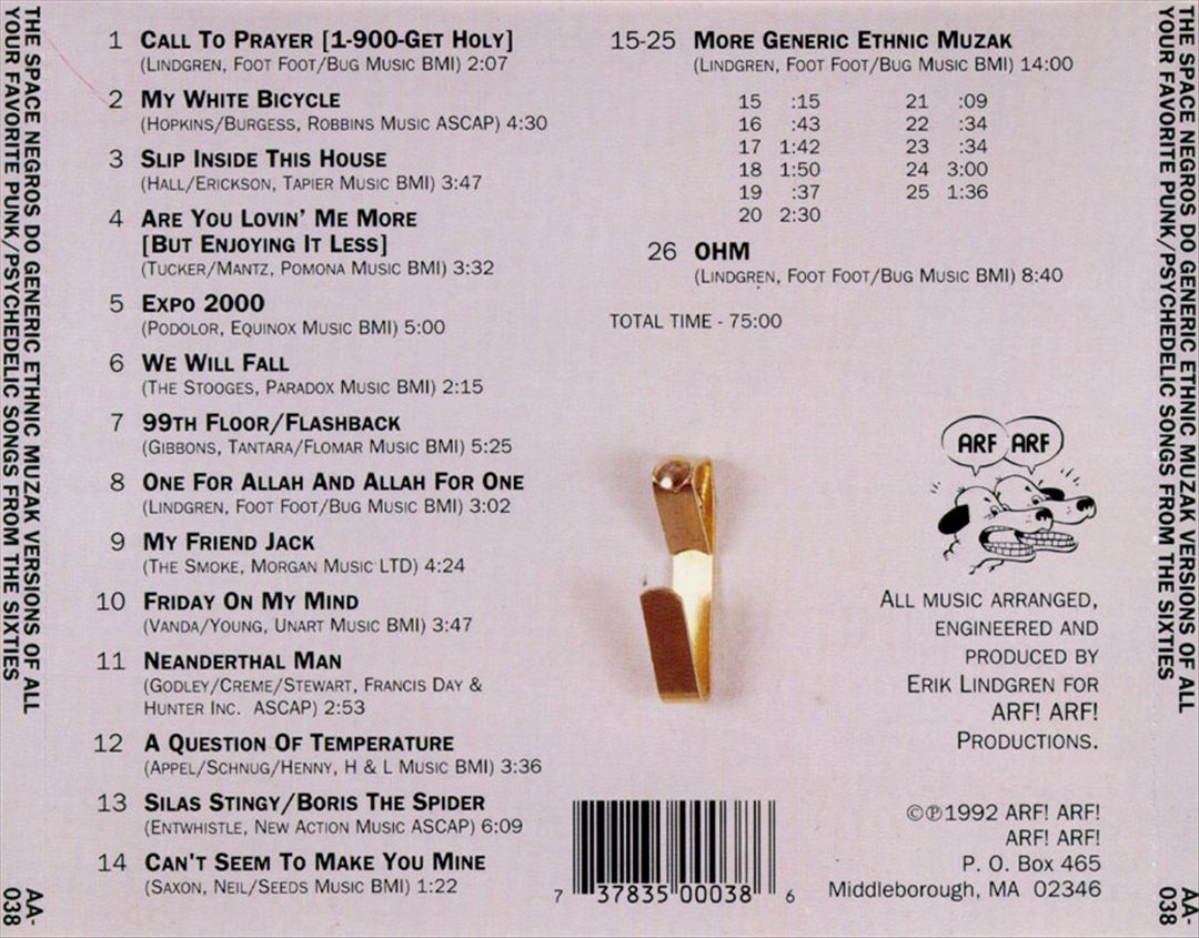 Space Negros Do Generic Ethnic Muzak Versions of All Your Favorite Punk/Psychedelic... cover art