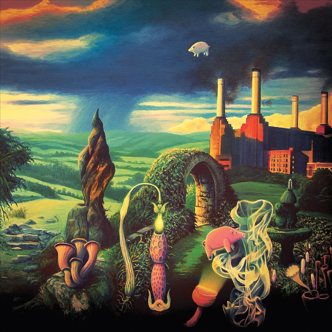 Animals Reimagined: A Tribute to Pink Floyd cover art