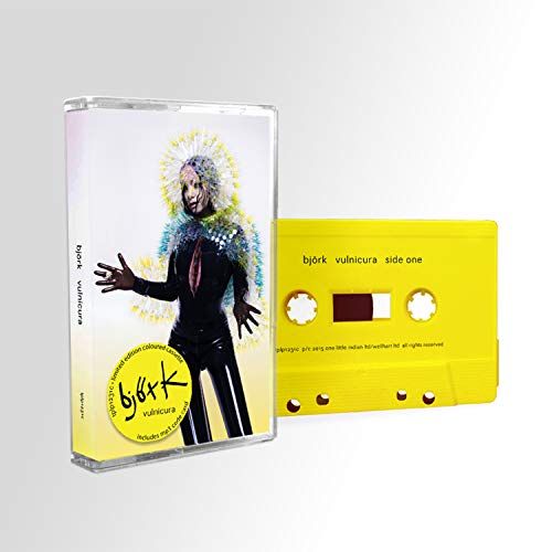 Vulnicura cover art