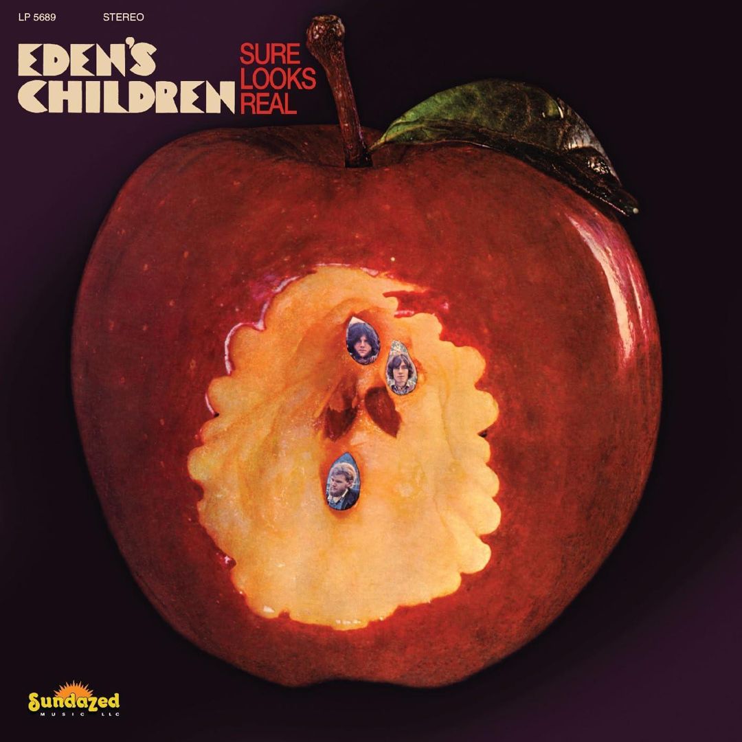 Sure Looks Real cover art