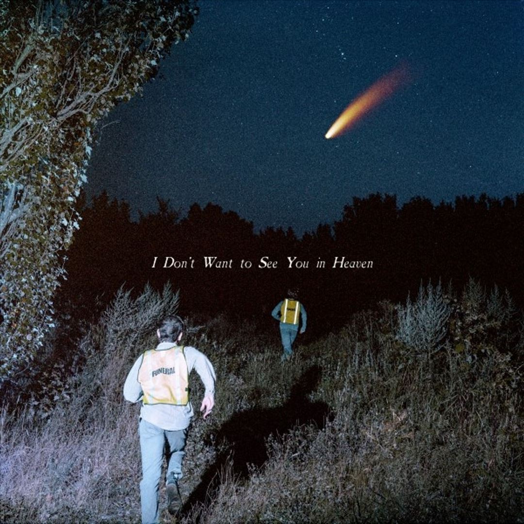 I Don't Want To See You in Heaven ["Seattle" Colored Vinyl] cover art