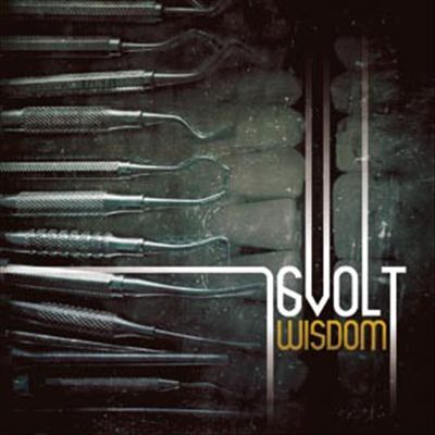 Wisdom cover art