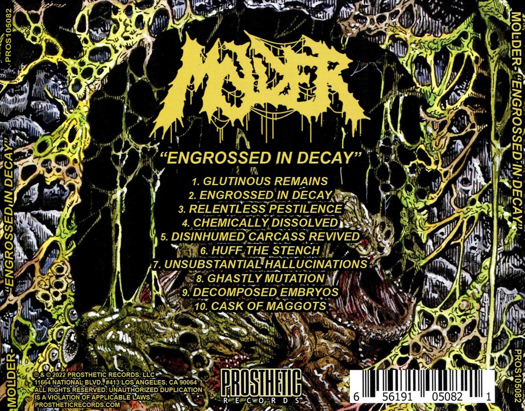Engrossed in Decay cover art