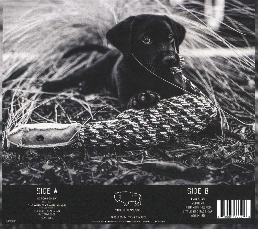 Go Down Singin' cover art