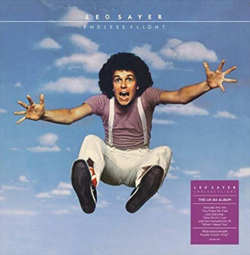 Endless Flight cover art