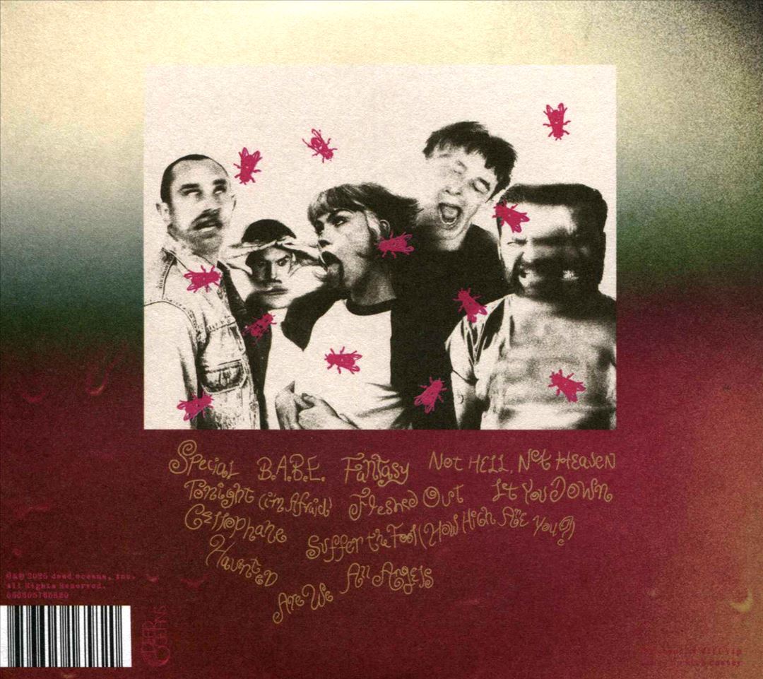 Are We All Angels cover art