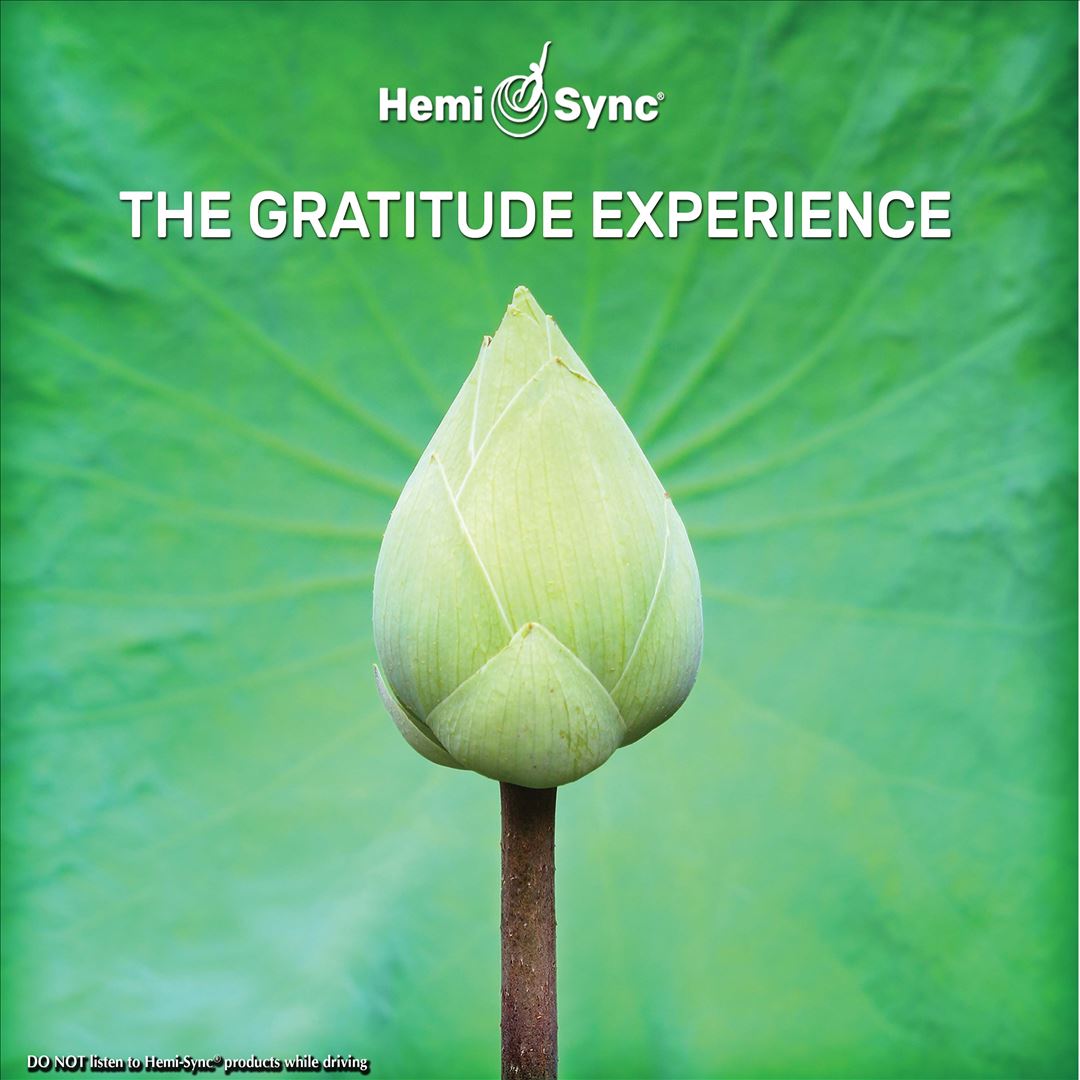 Gratitude Experience cover art