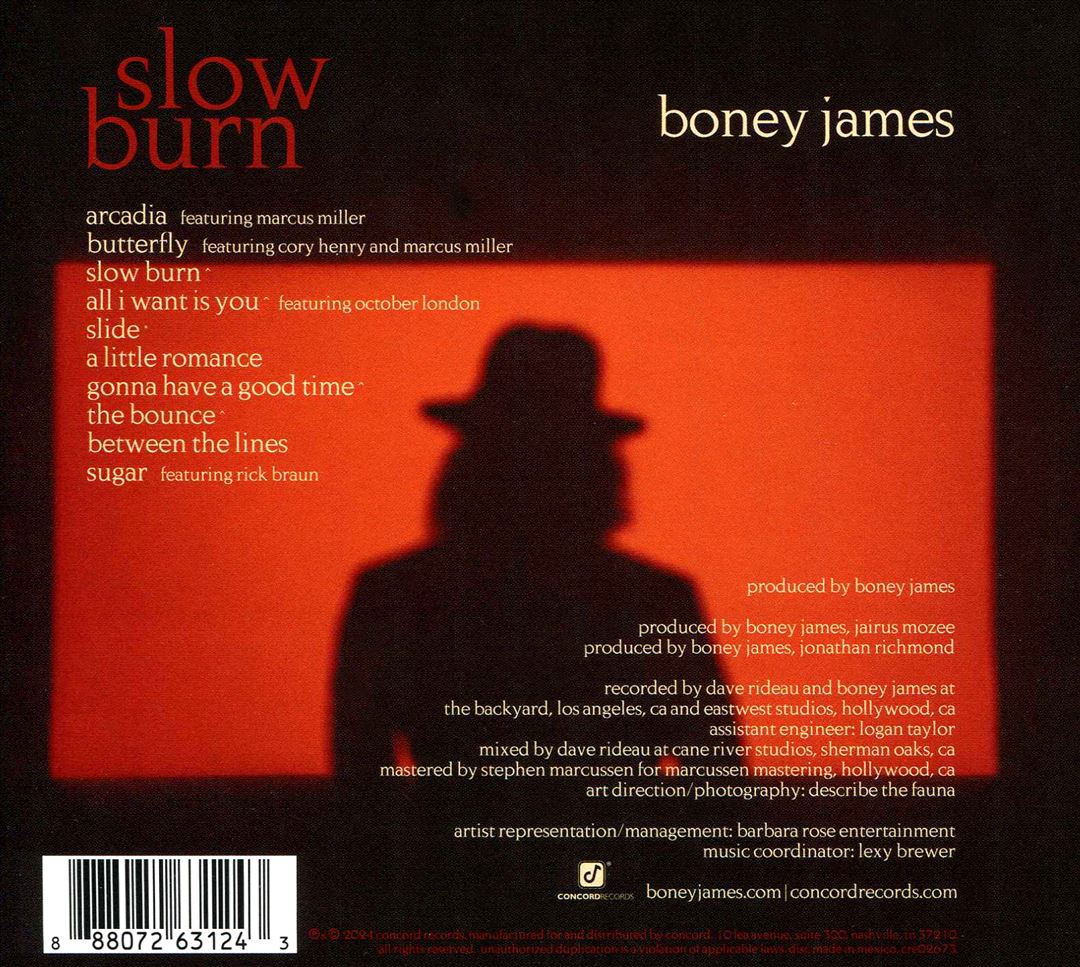 Slow Burn cover art