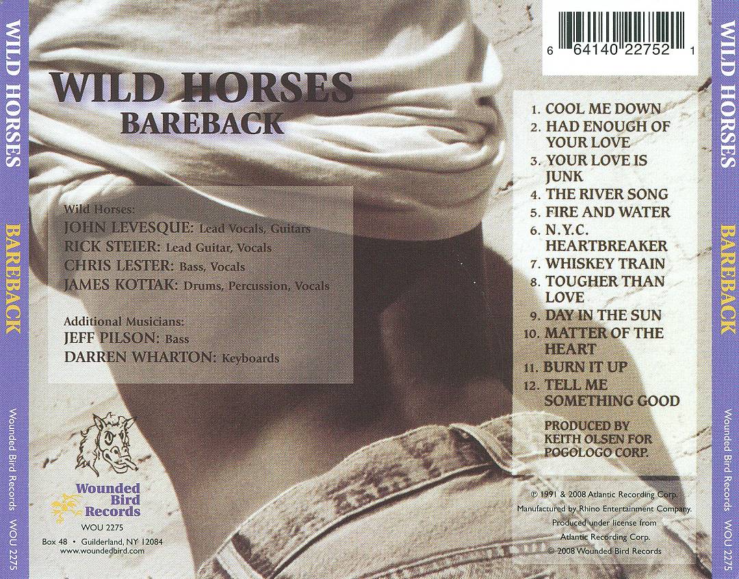 Bareback cover art