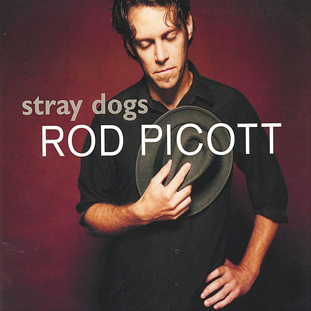 Stray Dogs cover art