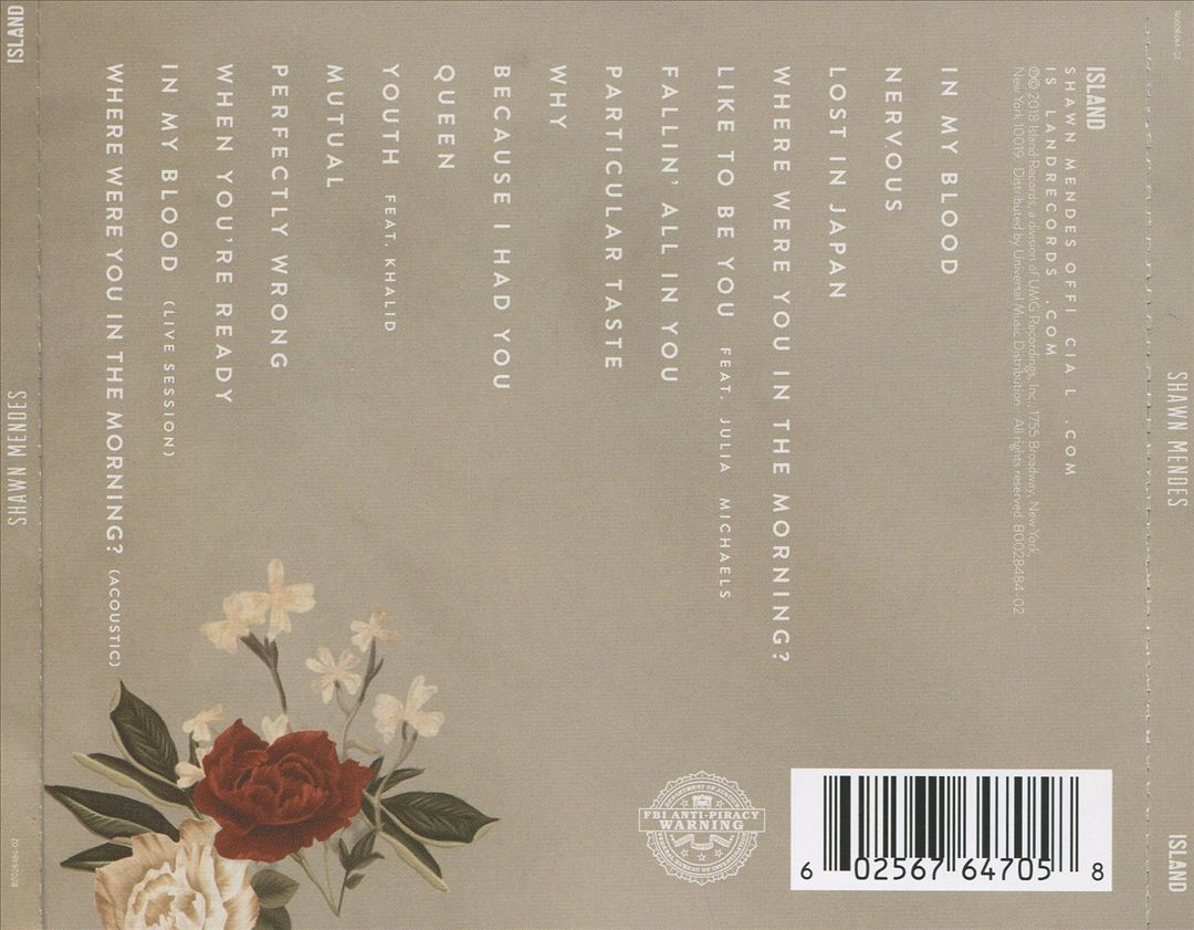 Shawn Mendes cover art