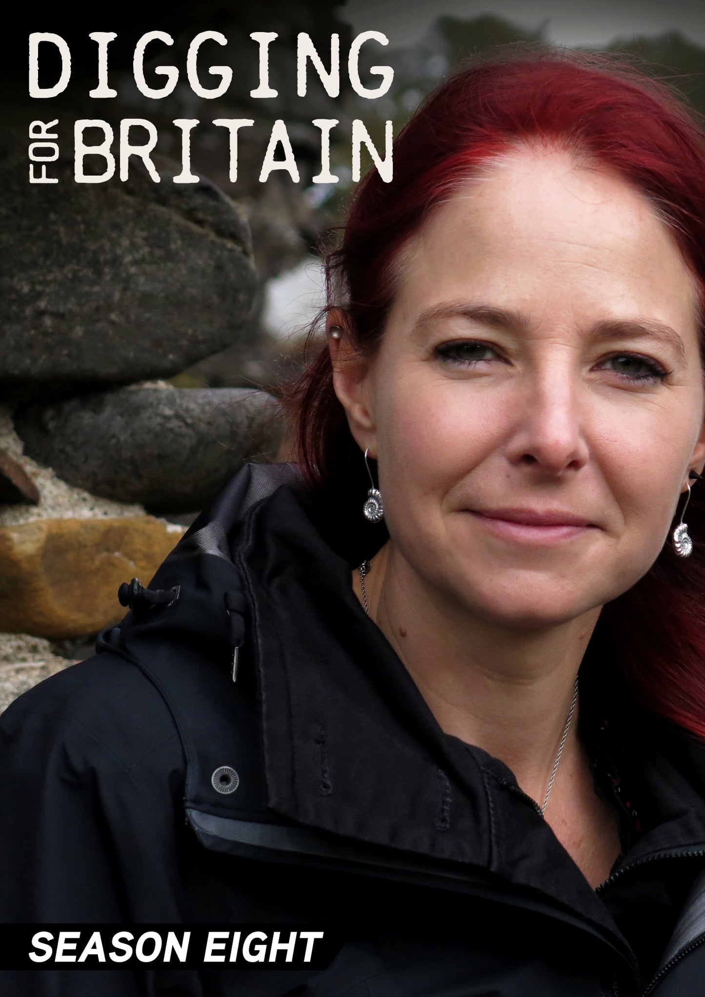 Digging for Britain: Season 8 cover art