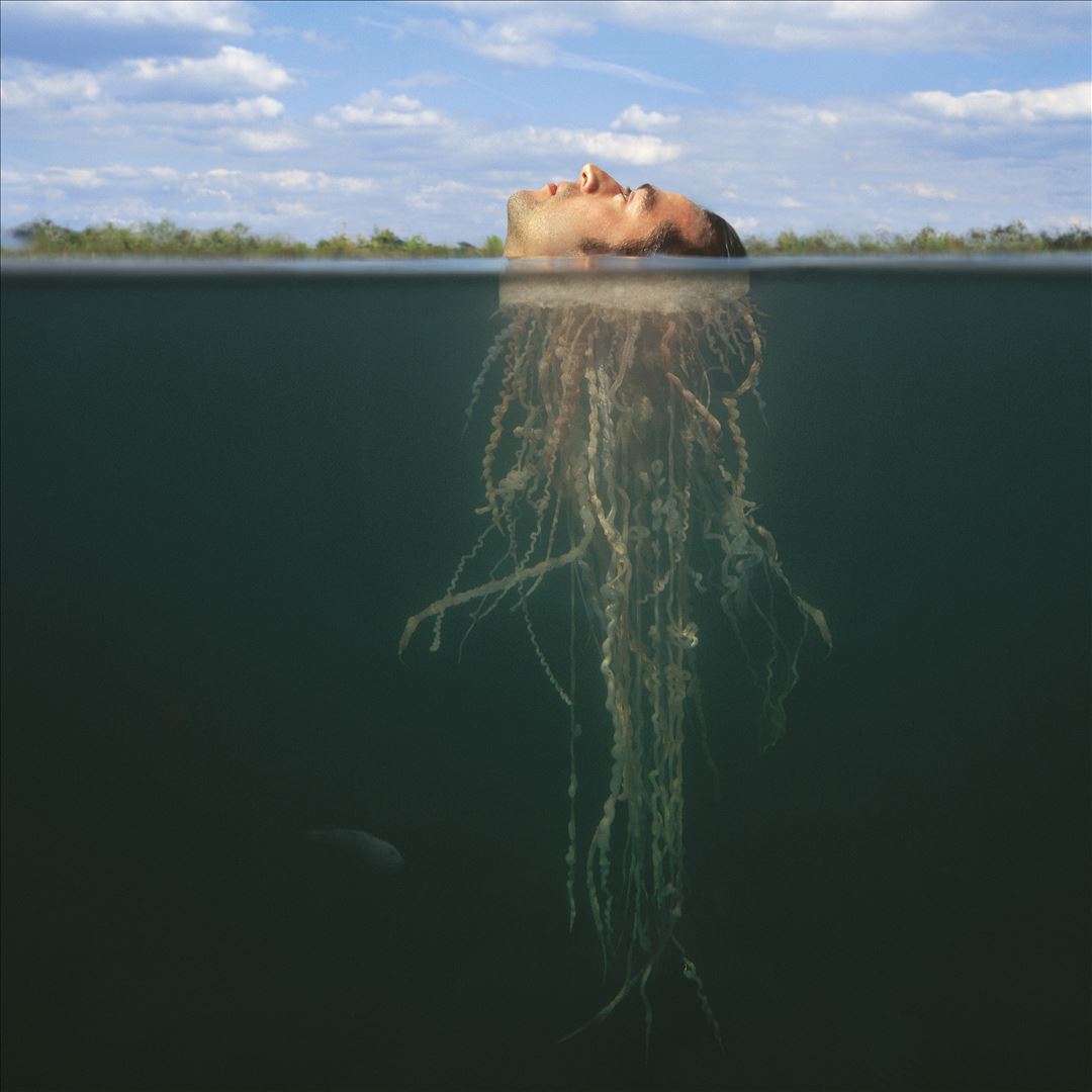 Deloused in the Comatorium cover art