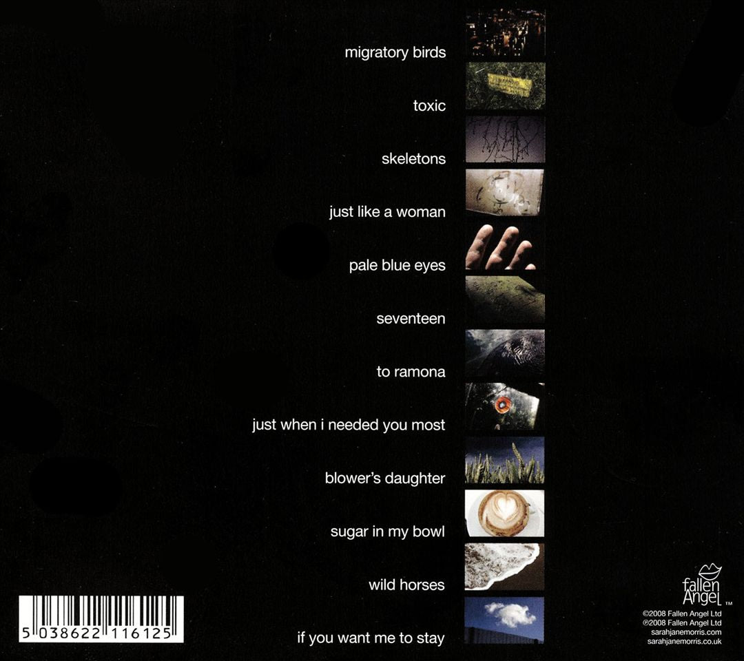 Migratory Birds cover art