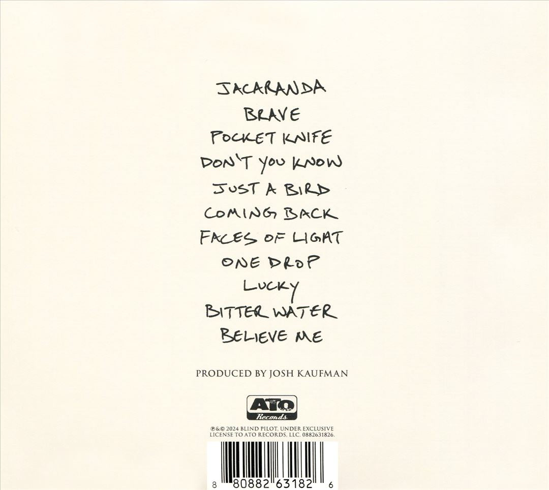 In the Shadow of the Holy Mountain cover art