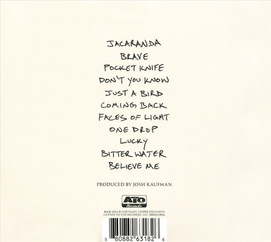 In the Shadow of the Holy Mountain cover art