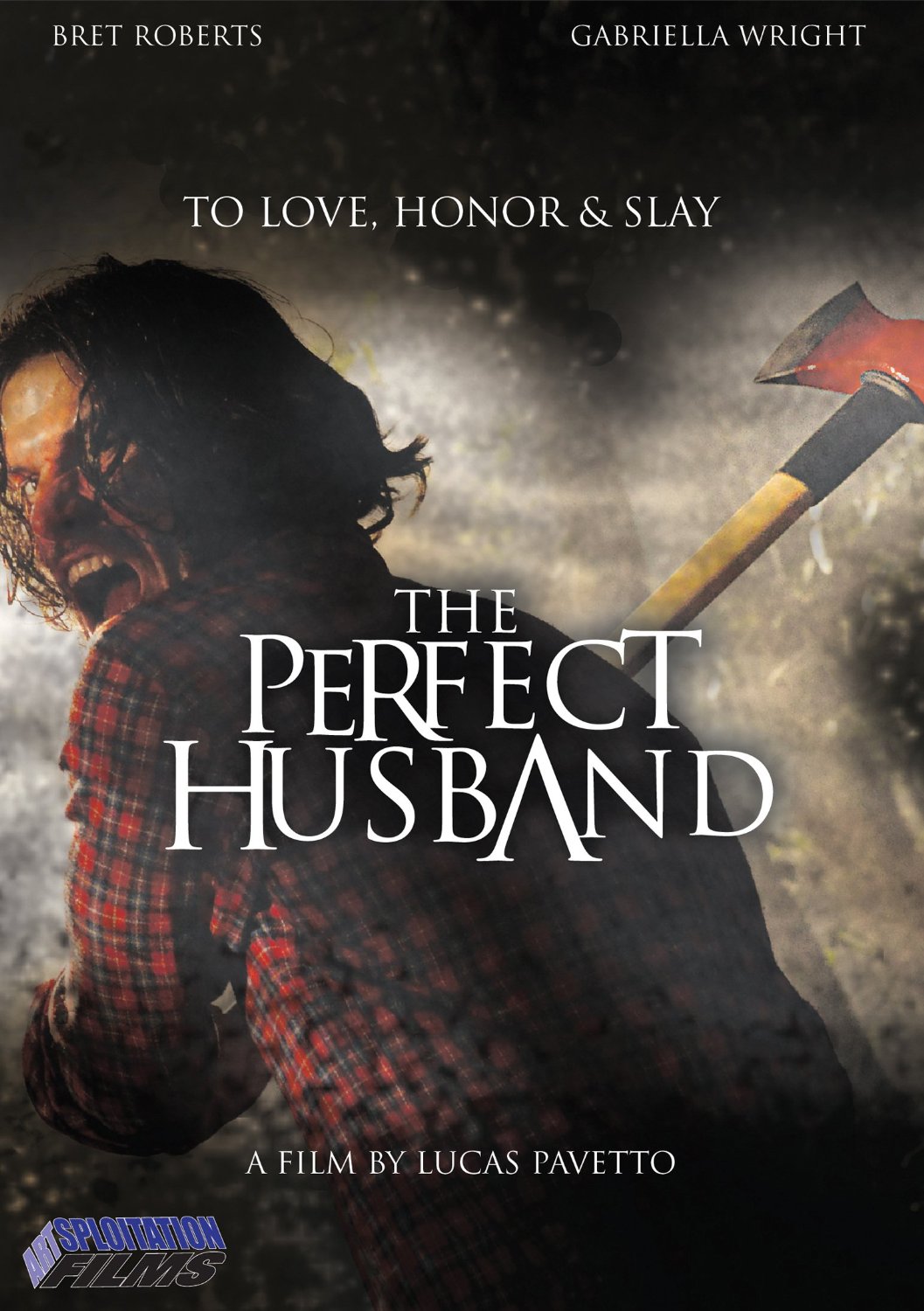 Perfect Husband cover art