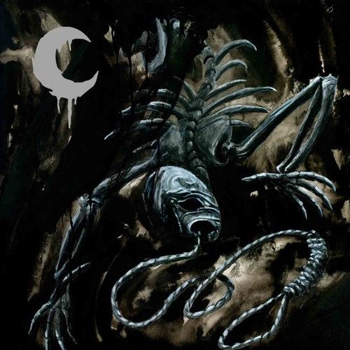 Silhouette in Splinters cover art