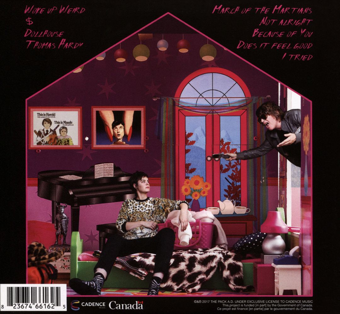 Dollhouse cover art