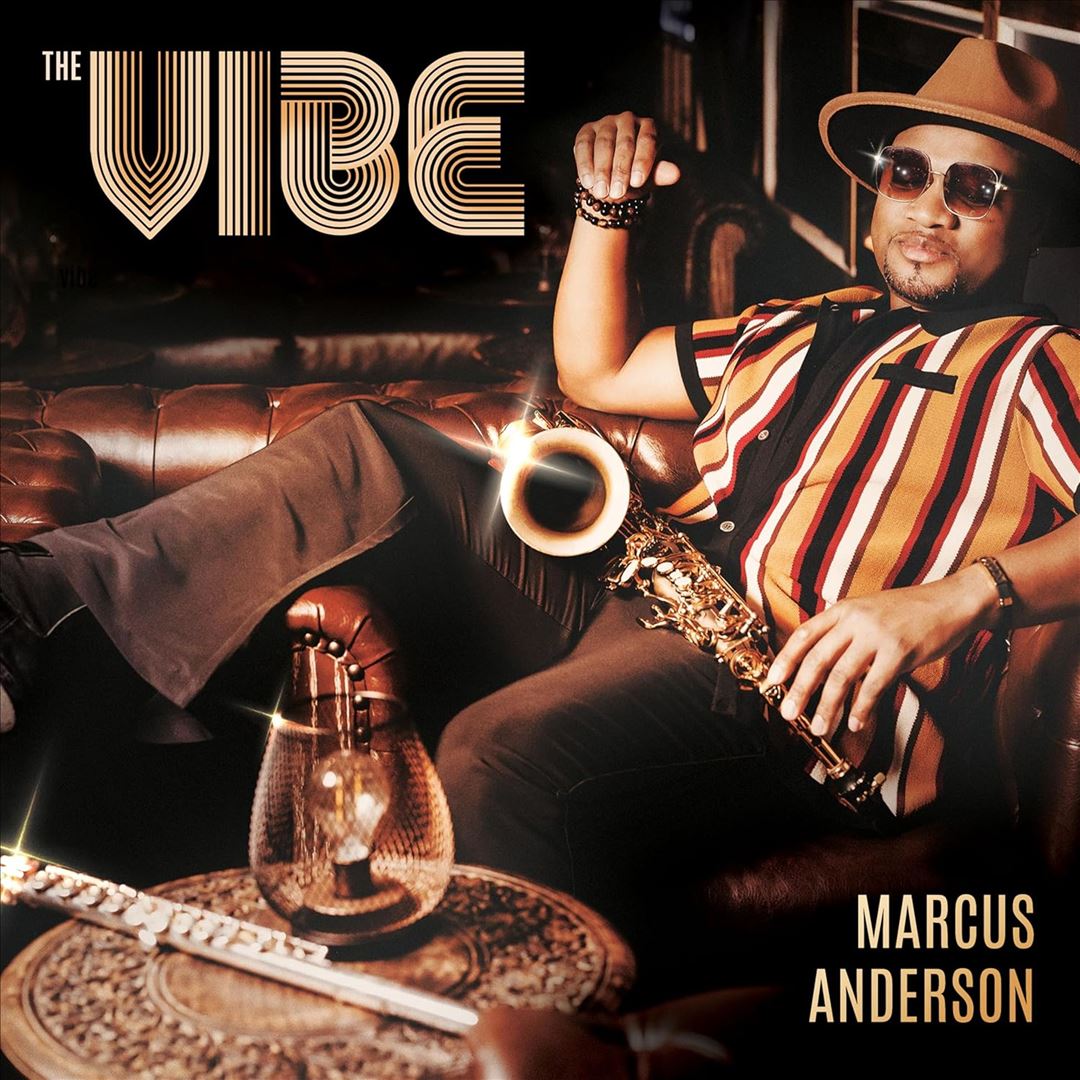 Vibe cover art