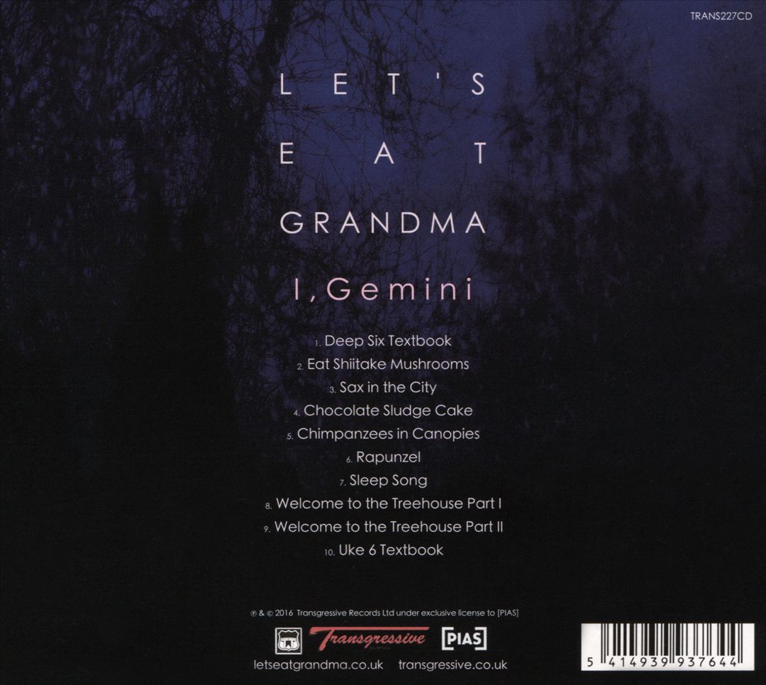 I, Gemini cover art