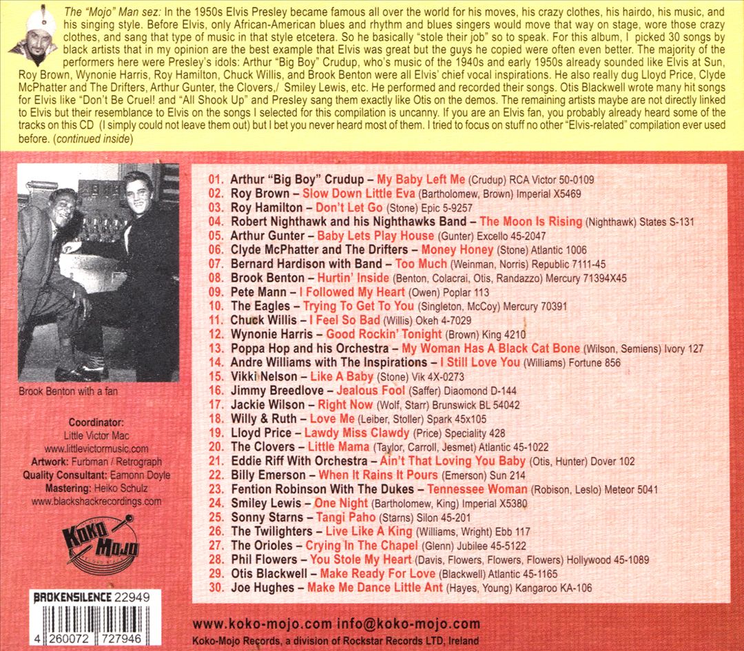 Elvis Stole My Job cover art