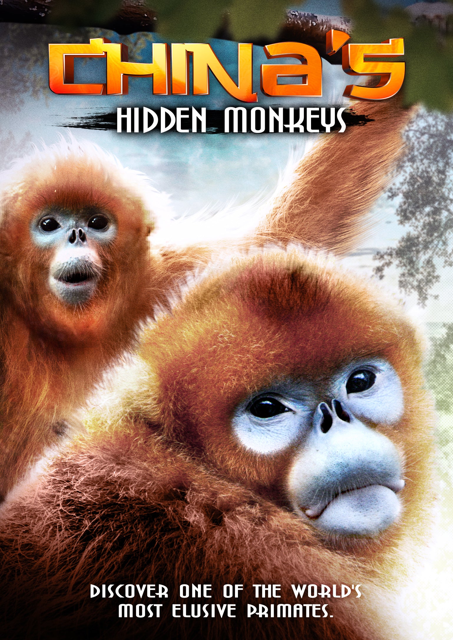 China's Hidden Monkeys cover art