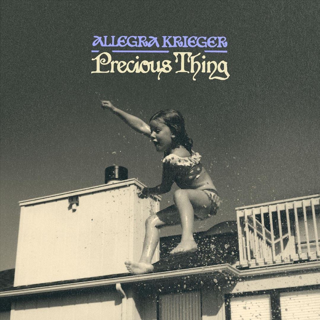 Precious Thing cover art