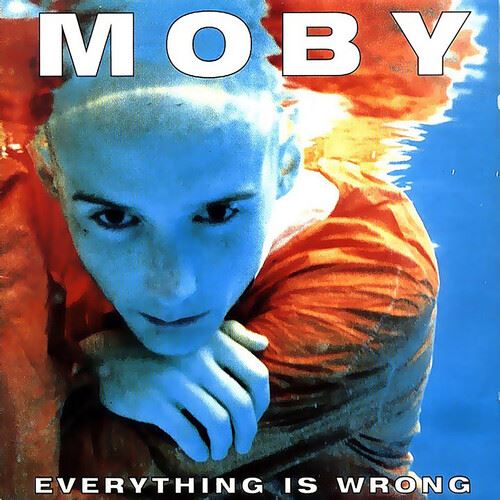 Everything Is Wrong cover art