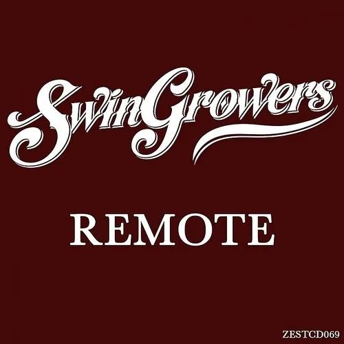 Remote cover art