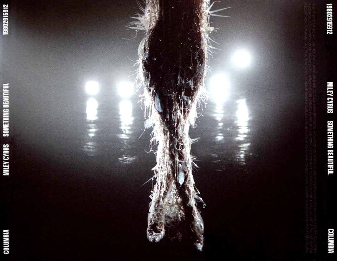 Something Beautiful cover art