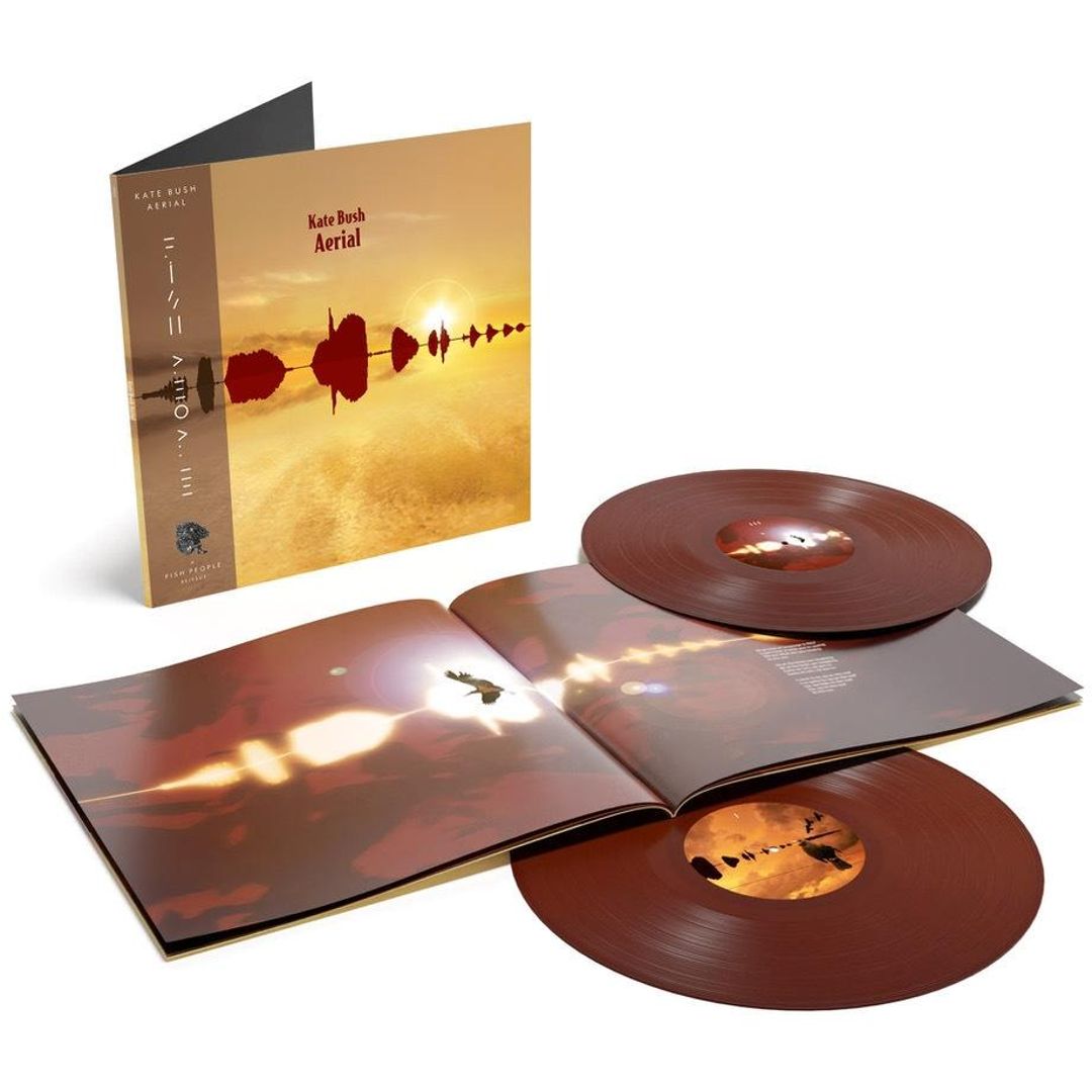 Aerial [2018 Remaster 180gm Goldy Locks Vinyl Indie Edition, 24pp Booklet] cover art