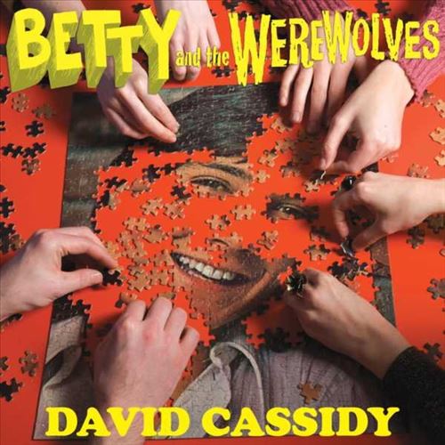 David Cassidy cover art