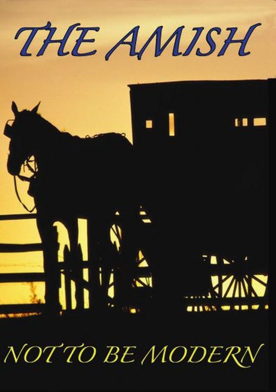 Amish: Not to be Modern cover art