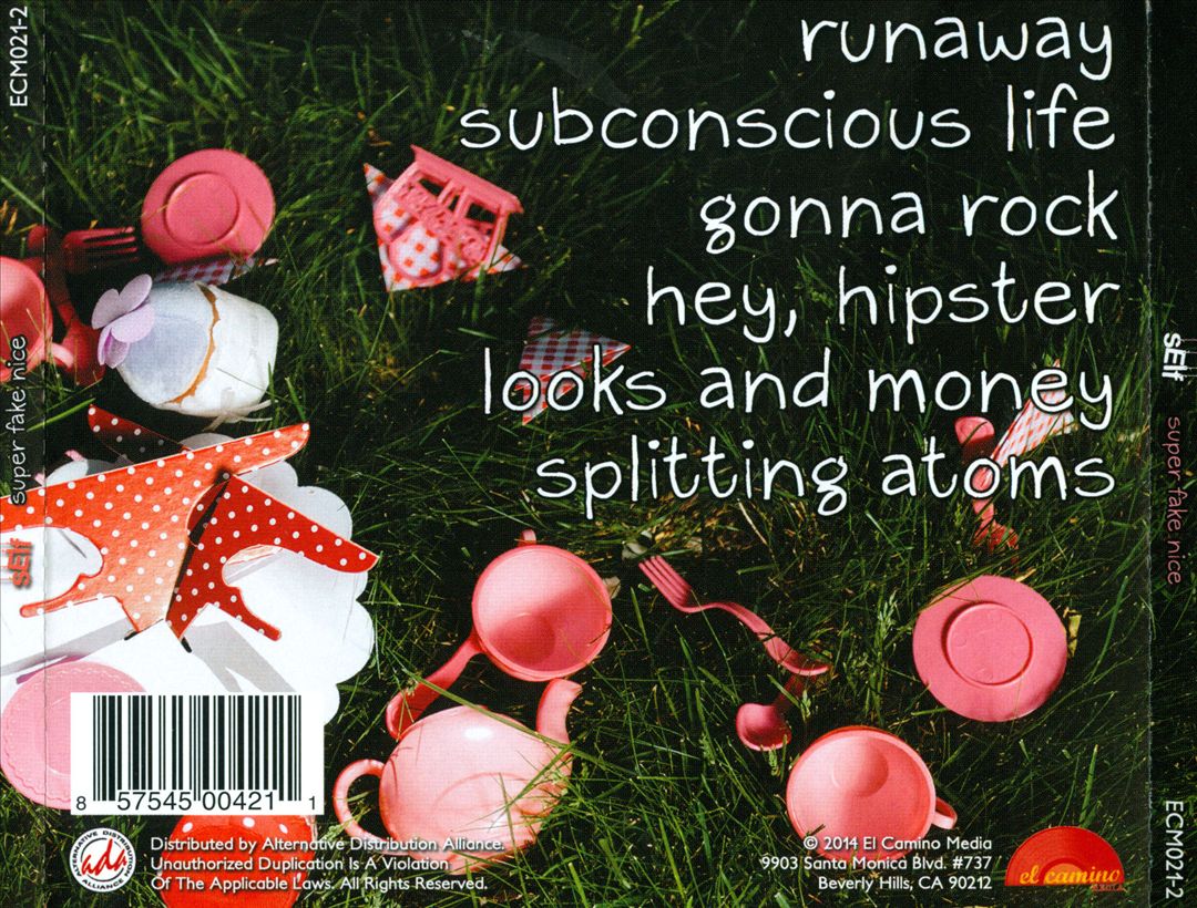 Super Fake Nice cover art