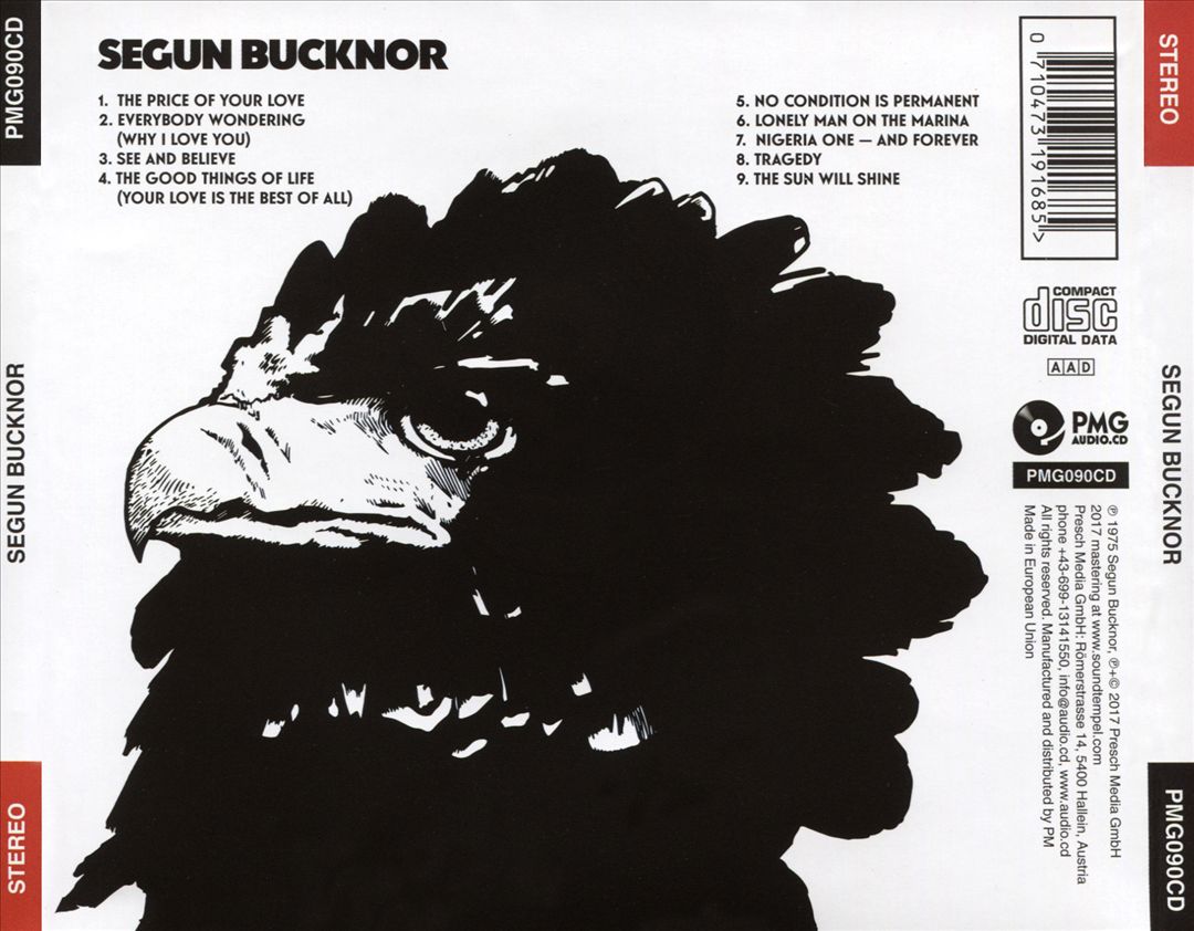 Segun Bucknor cover art