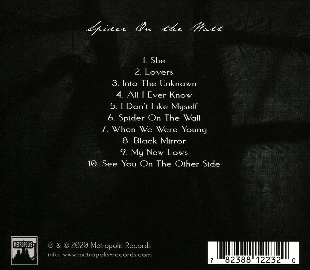 Spider on the Wall cover art