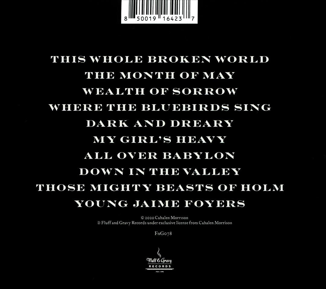 Wealth of Sorrow cover art