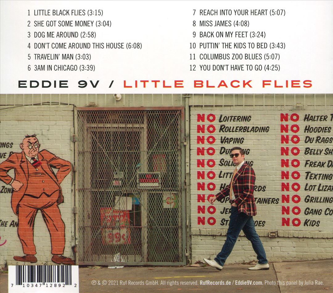 Little Black Flies cover art