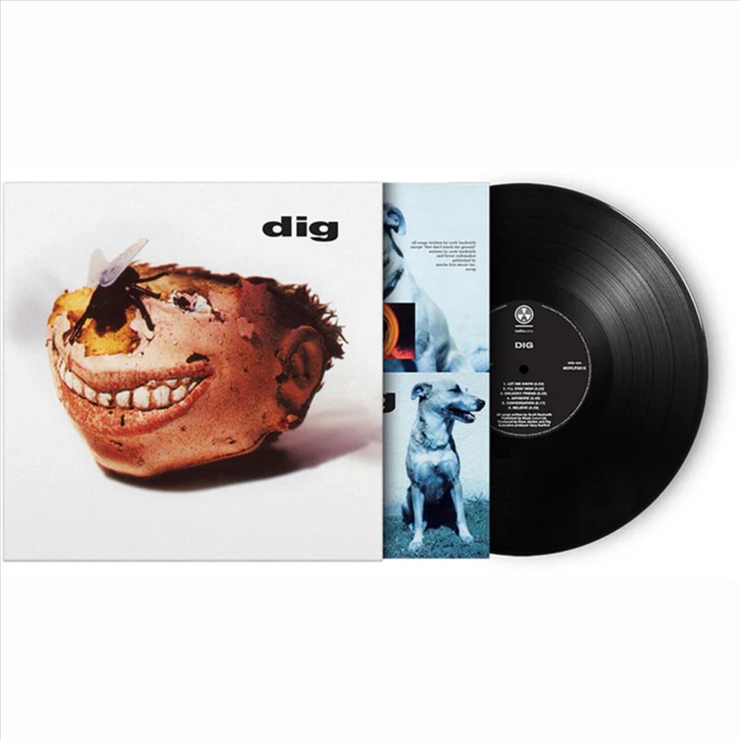 Dig cover art
