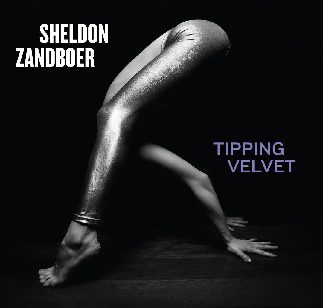 Tipping Velvet cover art