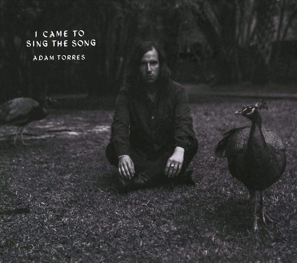 I CAME TO SING THE SONG cover art