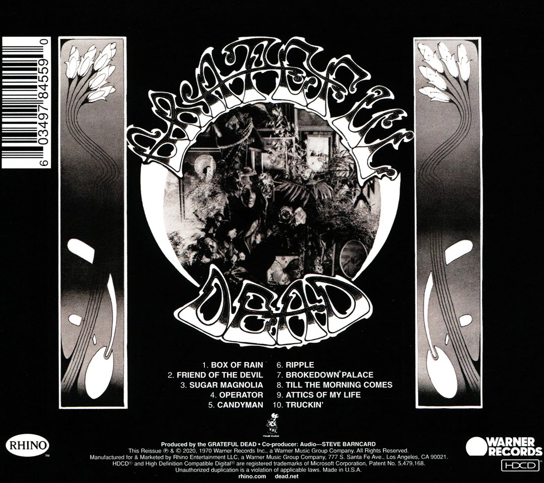American Beauty cover art