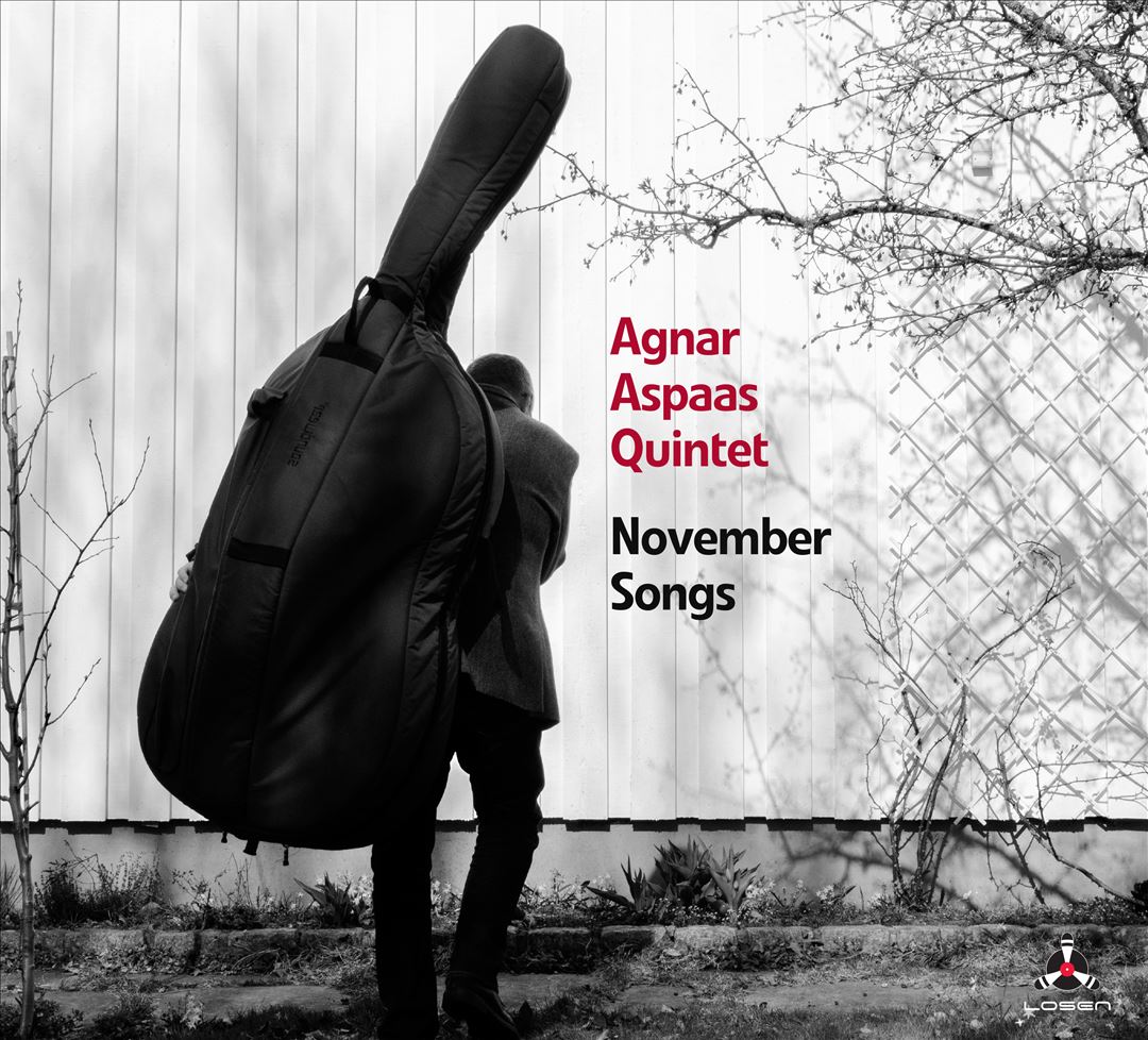November Songs cover art