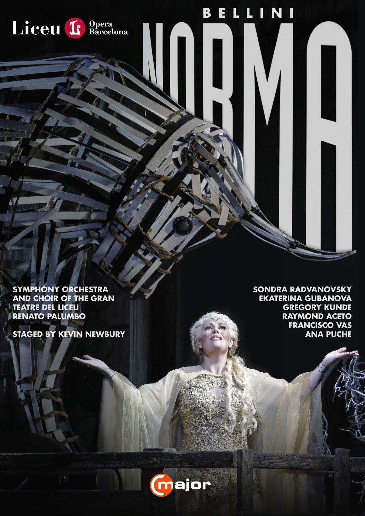 Bellini: Norma [Video] cover art