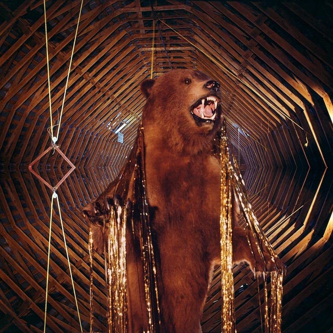 It Still Moves cover art