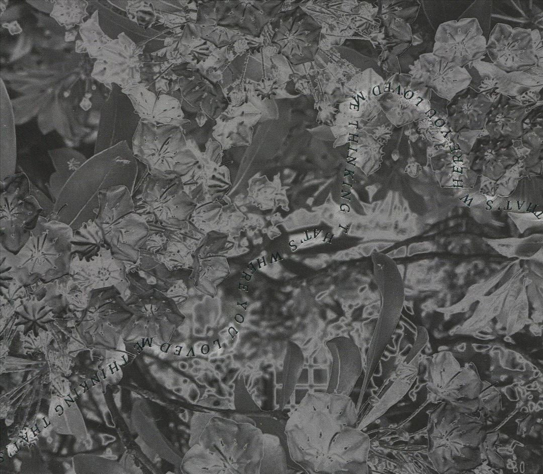 Laurel Hell cover art