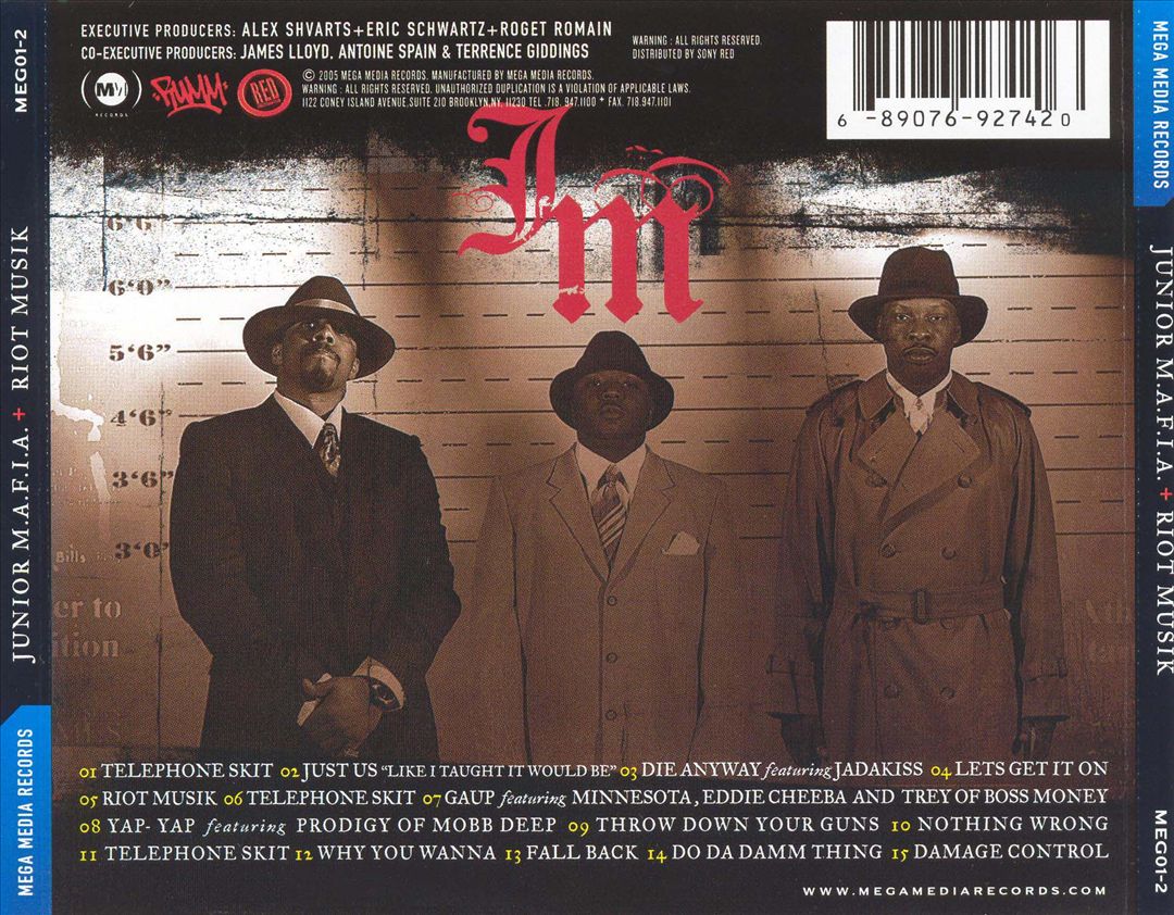 Riot Musik cover art